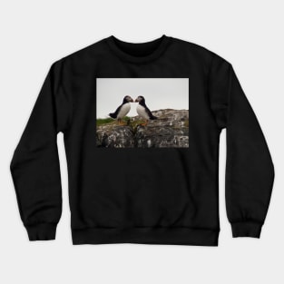 Loving Puffins Crewneck Sweatshirt